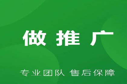SEM代运营经典案例解析与启示